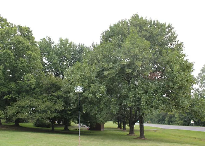 Shawnee Trails Lodging & Suites Lodge Goreville